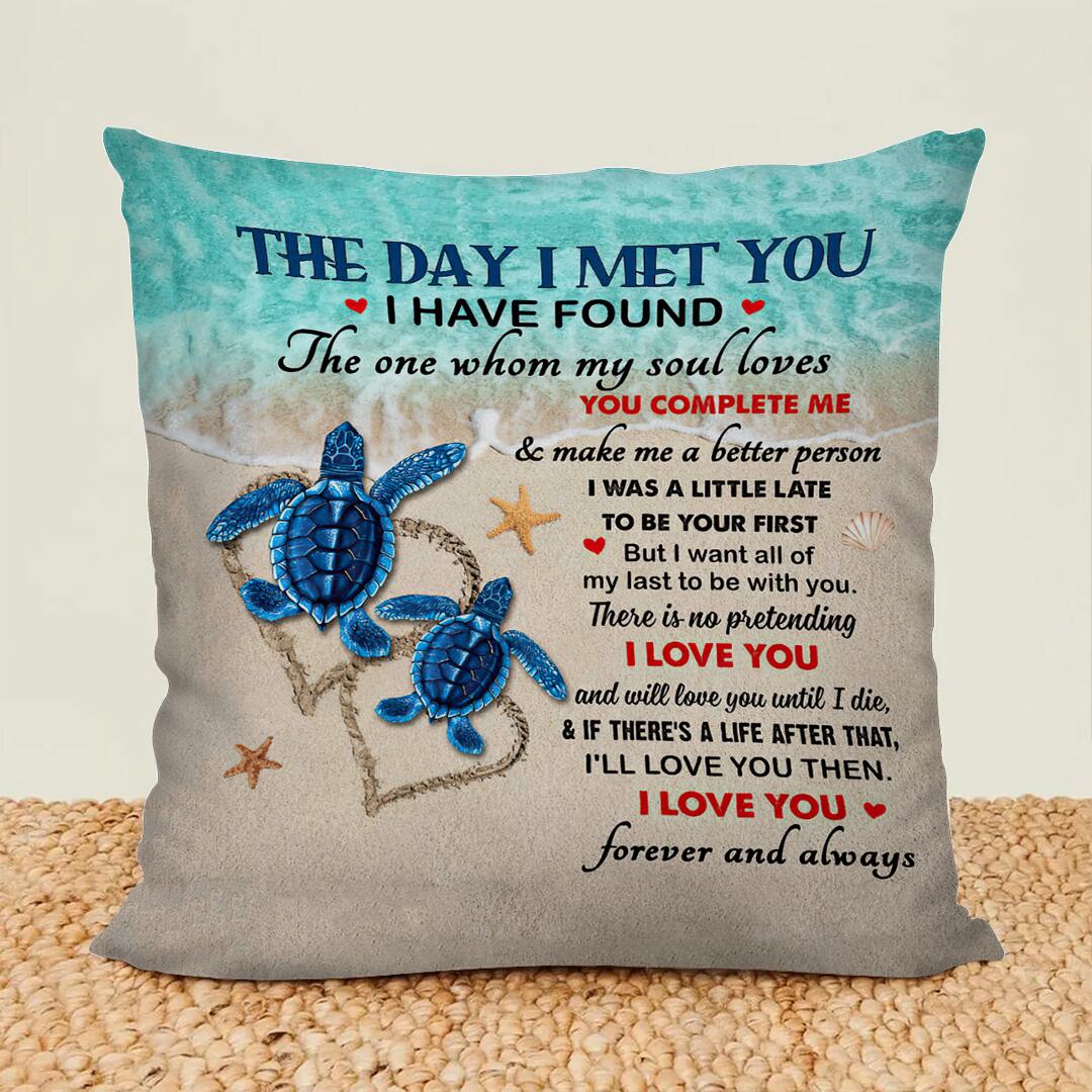 Gift For Couple - Turtle Couple The Day I Met You - Pillow